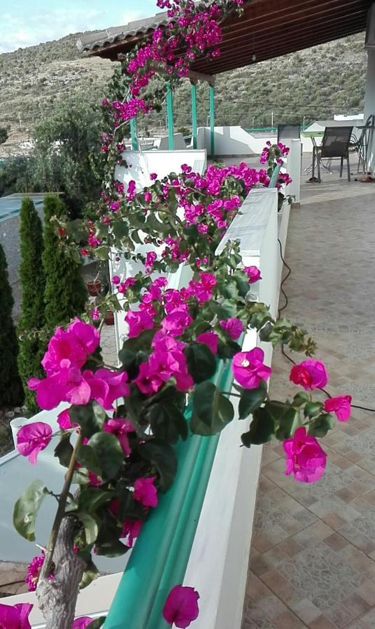 Baci Apartments คซามิล ภายนอก รูปภาพ