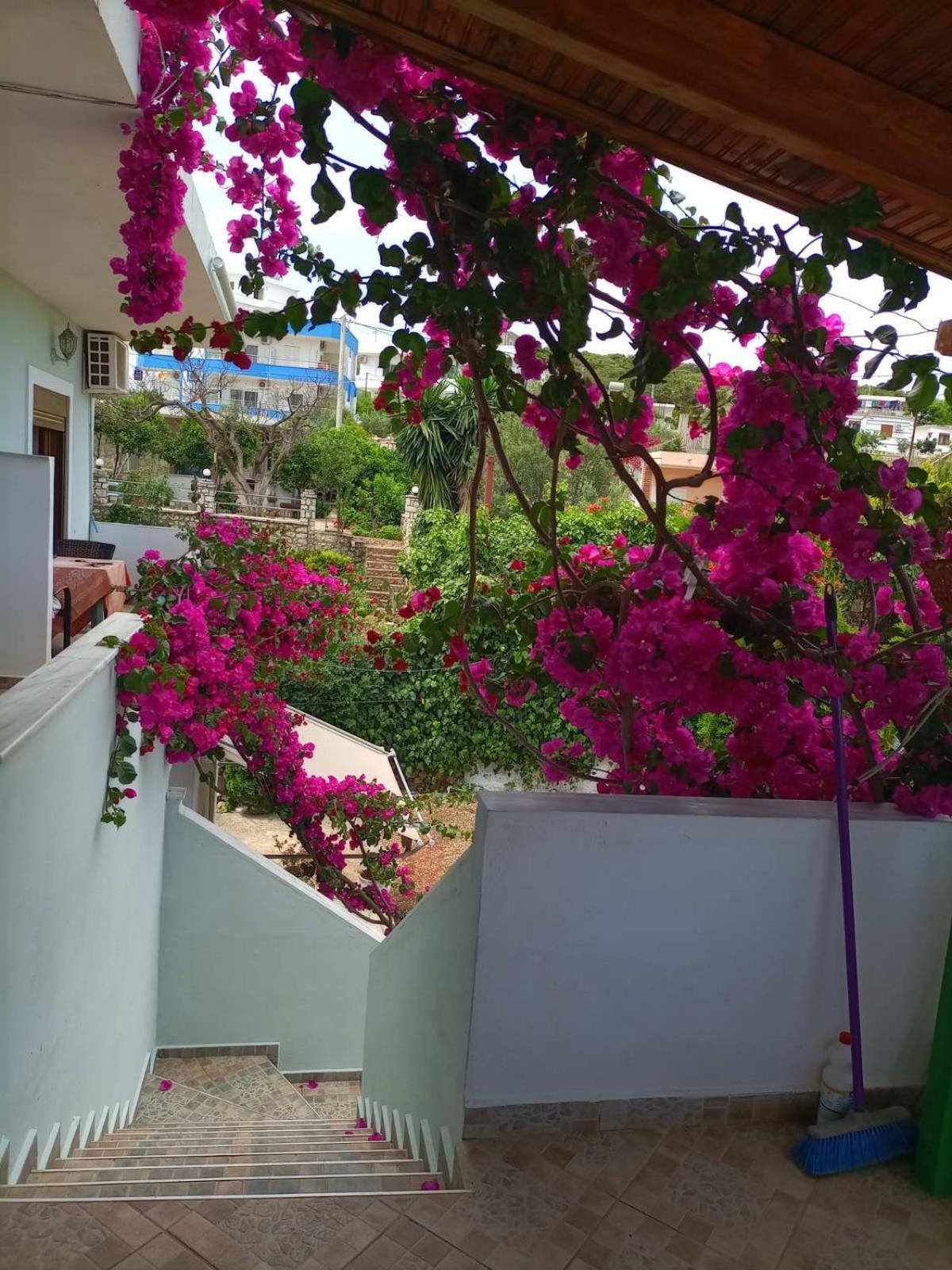 Baci Apartments คซามิล ภายนอก รูปภาพ