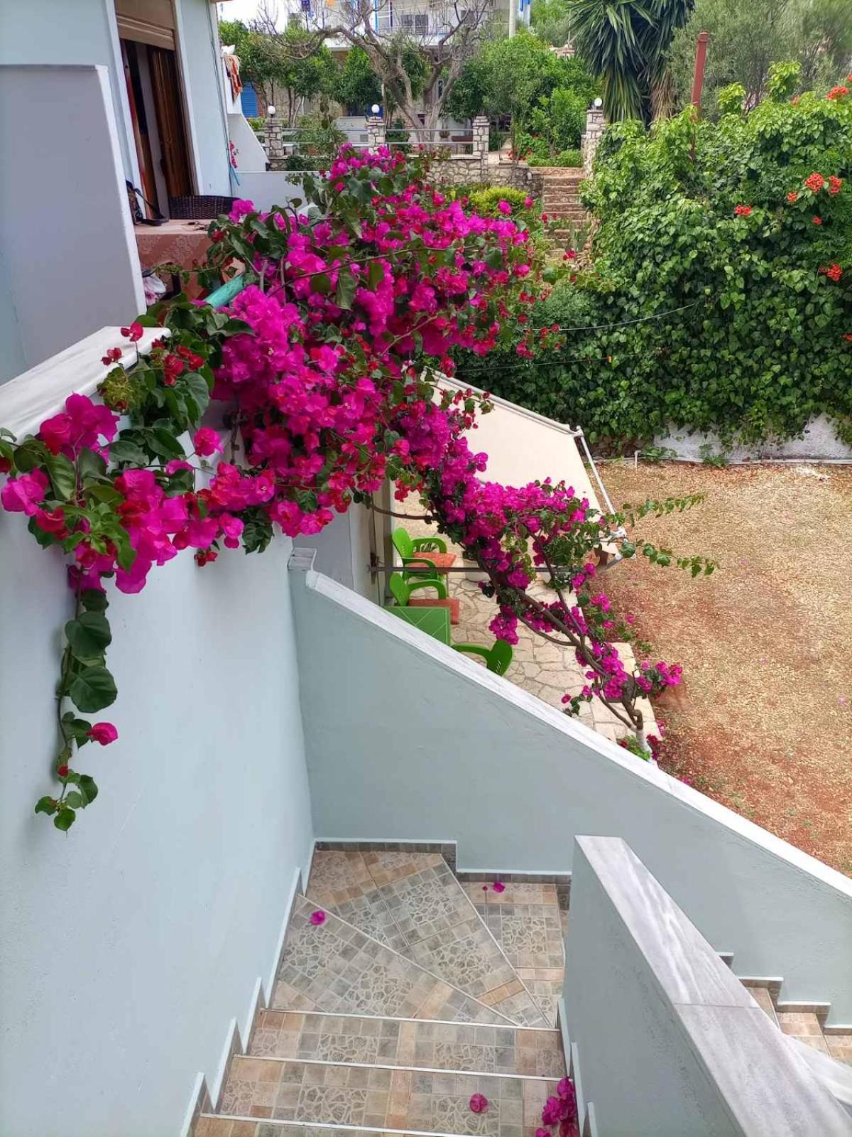 Baci Apartments คซามิล ภายนอก รูปภาพ
